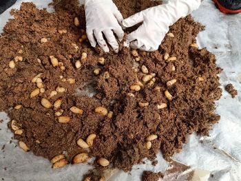 High angle view of hand holding chocolate cake