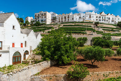 Locorotondo and the itria valley. between white houses and trulli. puglia, italy