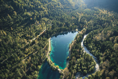 Drone view of turquoise calm lake located among green coniferous forest in mountainous area in salzburg city in austria in summer sunny weather