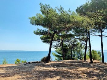 Scenic view of sea against clear sky