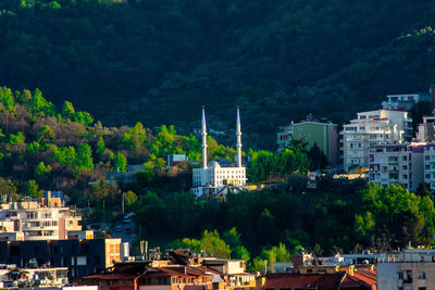 High angle view of trees and buildings in city