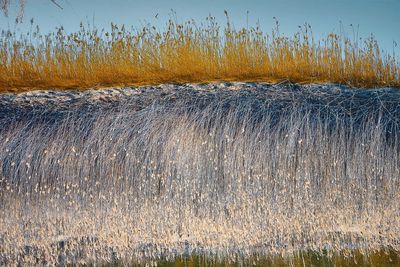 Close-up of water against sky during sunset