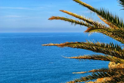 Scenic view of sea against blue sky