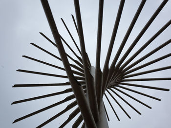 Low angle view of palm tree against sky