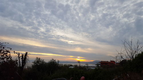 Panoramic view of trees and buildings against sky during sunset