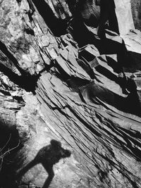 Silhouette of trees against sky