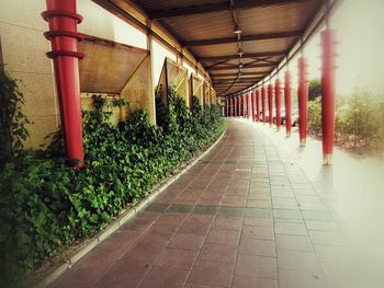Walkway leading to building