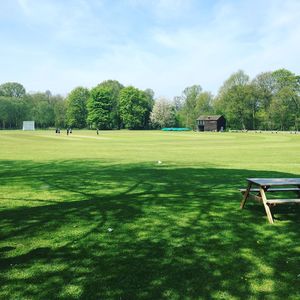 View of trees on field