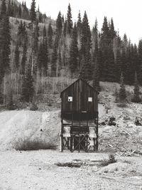 Stilt house in forest