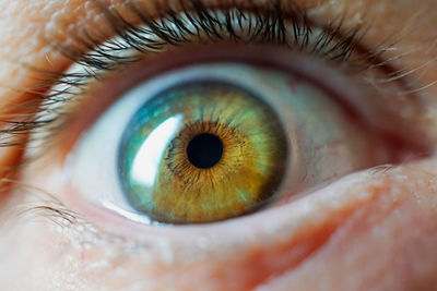 Extreme close-up of human eye