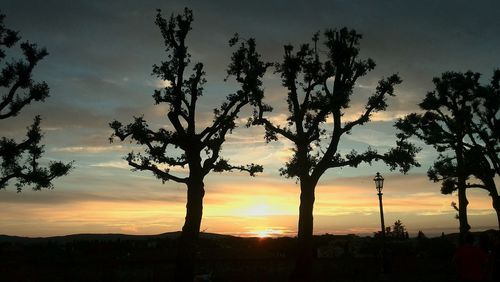 Silhouette trees against dramatic sky