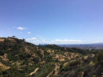 Scenic view of landscape against blue sky