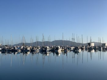 Sailboats in marina at harbor against clear sky