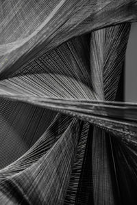 Full frame shot of feather