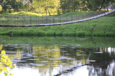 Reflection of trees in lake