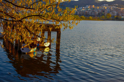 Scenic view of lake during autumn