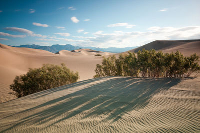 Scenic view of desert against sky