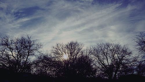 Low angle view of bare trees against sky