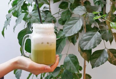 Close-up of hand holding drink