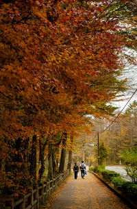 Rear view of people on road amidst trees during autumn