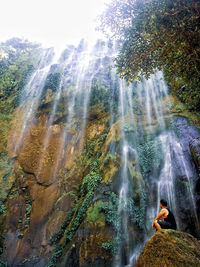 Low angle view of waterfall in forest