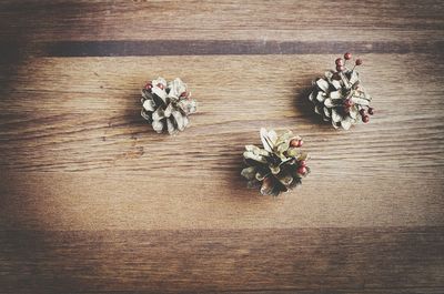 High angle view of flowers on table