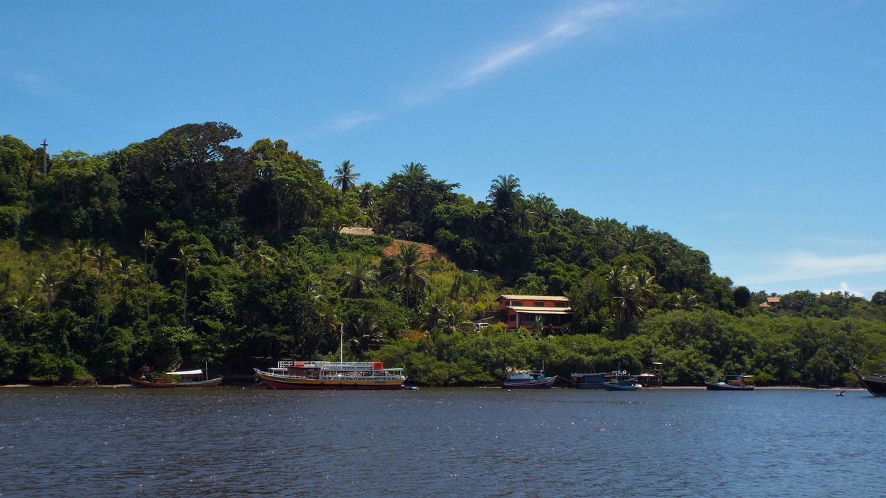 SCENIC VIEW OF RIVER AGAINST TREES