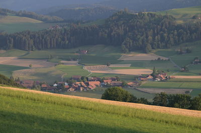 Scenic view of agricultural field