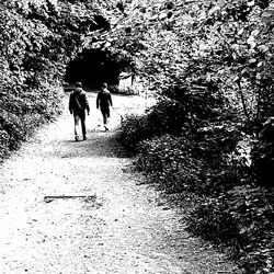 Rear view of people walking on plants