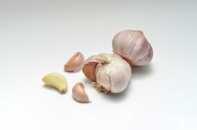 Close-up of eggs against white background