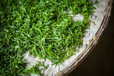 High angle view of leaf vegetable in container