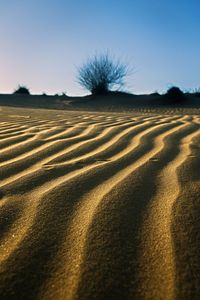 Pattern formed by winds in desert, sam dunes, rajasthan, india