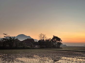 Scenic view of landscape at sunset