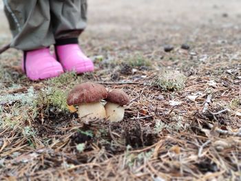 Low section of child standing by mushroom on field