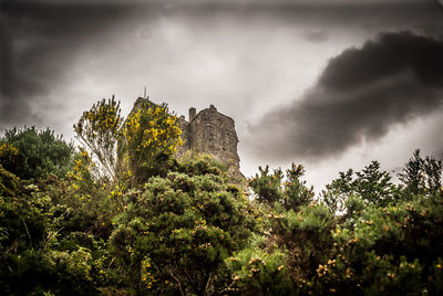 Low angle view of trees against storm clouds