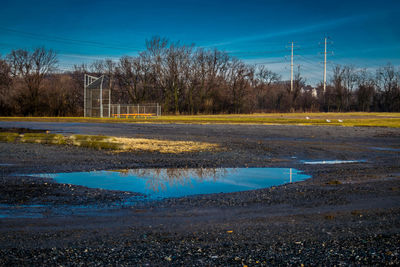 Reflection of trees in puddle against blue sky