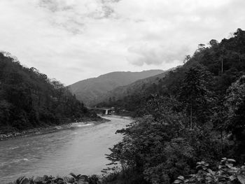 Scenic view of river in forest against sky