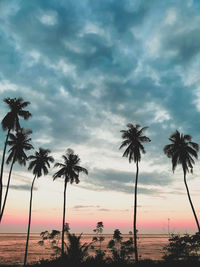 Silhouette palm trees against sky during sunset