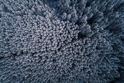 Full frame shot of snowflakes on snow