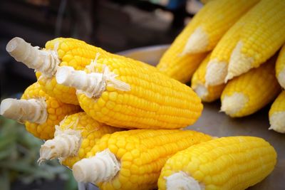 Close-up of sweet corns in plate