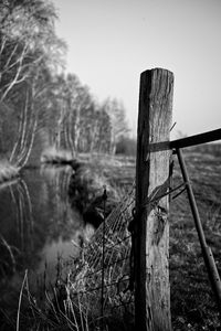 nature