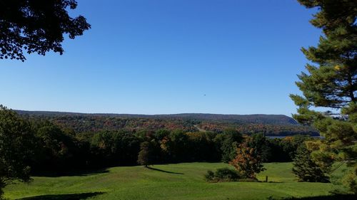 Trees on countryside landscape against clear blue sky