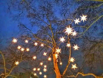 Low angle view of illuminated tree against sky at night