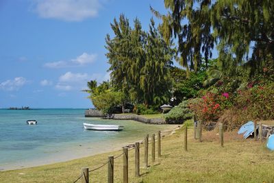 Scenic view of trees by sea against sky