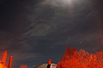 Panoramic view of trees against sky at night