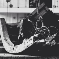 Close-up of plant against blurred background