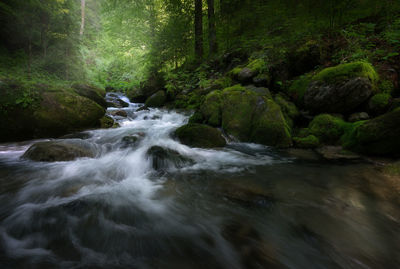 Stream flowing through rocks in forest