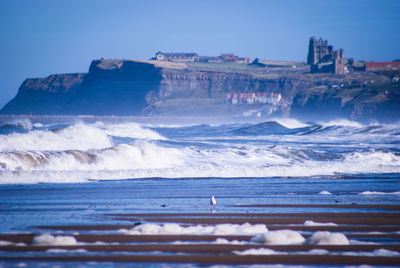 Scenic view of beach against blue sky