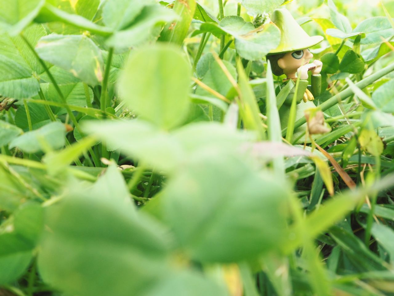 growth, green color, leaf, plant, close-up, nature, freshness, beauty in nature, selective focus, growing, focus on foreground, green, day, outdoors, stem, no people, tranquility, field, fragility, sunlight