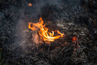 Close-up of campfire